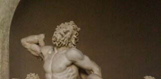 Laooconte Musei Vaticani
