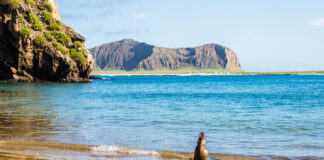 Galapagos