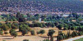 La piana di Maratona