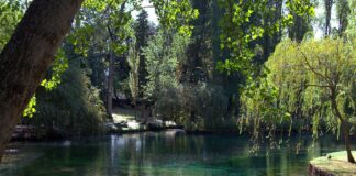 Le Fonti del Clitunno, nel comune di Campello Sul Clitunno, Perugia (Umbria)