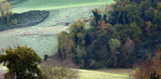 Rubicone Giulio Cesare