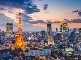 Panorama di Tokyo con la Tokyo Tower